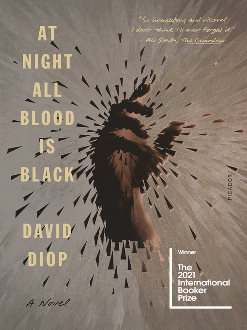 Title details for At Night All Blood Is Black by David Diop - Available